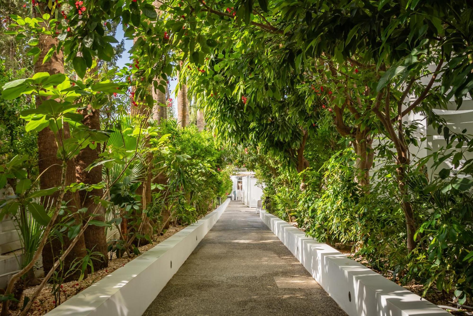 Margadina Hotel Ayía Nápa